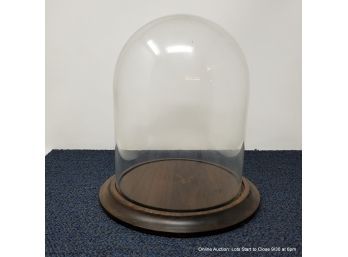 Glass Cloches With Wood Plinth