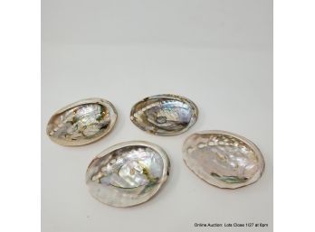 Abalone Shells 4pc