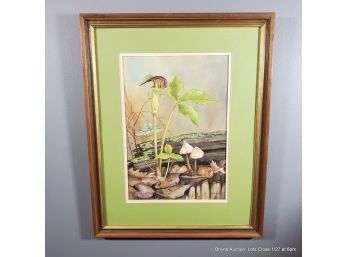 June McDowell Watercolor On Paper Of Jack In The Pulpit Woodland Scene
