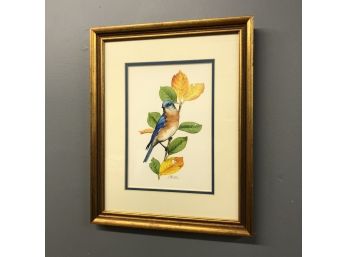 Bird Watercolor On Paper By J. Mizell