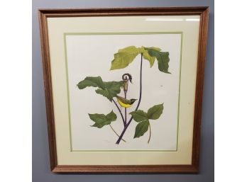 Steve Dillard, Kentucky Warbler, Watercolor On Paper