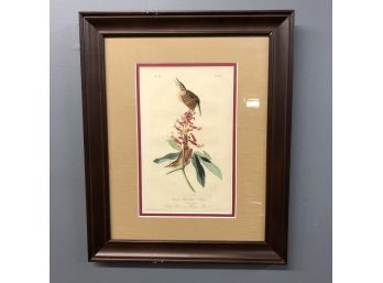 J.T. Bowen Co. Hand Colored Lithograph From Audubon's Octavo Edition Of Birds Of  America