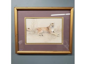 Joan Sharrock, Cougar, Watercolor And Pencil