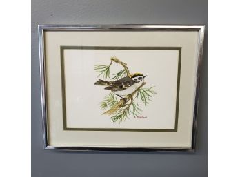 Watercolor On Paper 'mary Bland' Golden Crowned Kinglet On Branch