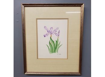 Bruce Corban, Iris, Watercolor On Paper