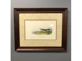 Smith's Lark Bunting, Hand Colored Lithograph By J.T. Bowen Co. For Audubon's Octavo Edition Birds Of America