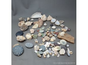 Assorted Stones, Crystals, Thunder Eggs, Garnet, Seaglass, Shells