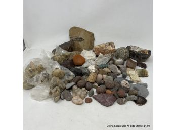 Lot Of Misc. Rock, Coral, Shells And Geodes