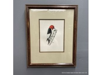 Watercolor Signed 'Hagen' Red Headed Woodpecker