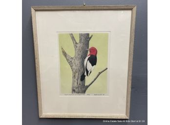 Maurice Bebb Color Etching Of A Red Headed Woodpecker 1964
