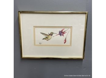 Susan LeBow Hummingbird With Fuchsia Watercolor On Paper 1981