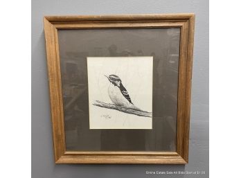 J. Mesick 84 Woodpecker Graphite On Paper