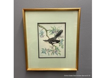 Jean W Petite Watercolor On Paper Mockingbird On Branch