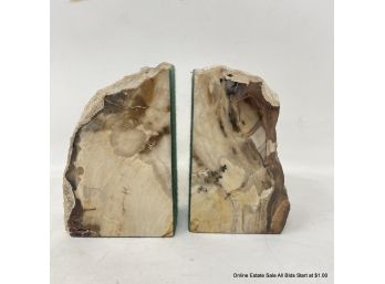 Petrified Forest Cypress 4.75' X 3' Bookend