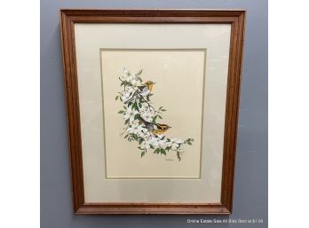 Mary Bland Gouache On Paper Black Burnian Warbler On Dogwood