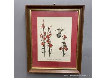 Ray Harm Hummingbirds On Cardinal Flowers Pencil Signed Print