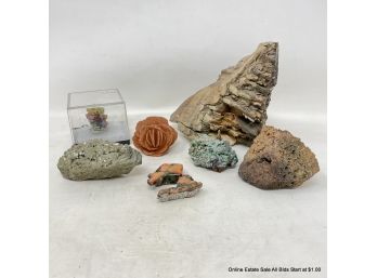 Pyrite, Barite, Petrified Wood, Pumice, And Other Stones
