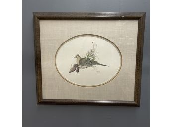 Sally Lesesne Print Of A Mourning Dove