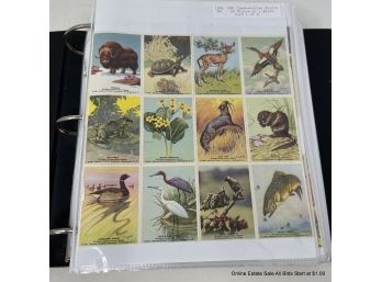 Binder Full Of Wildlife Conservation Stamps 1941-1996 Issued By National Wildlife Federation