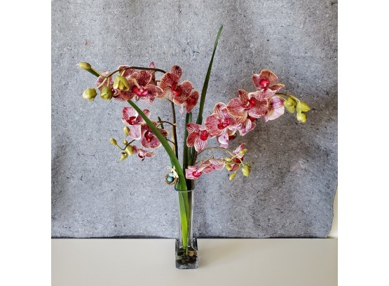 Accents Silk Orchid Arrangement