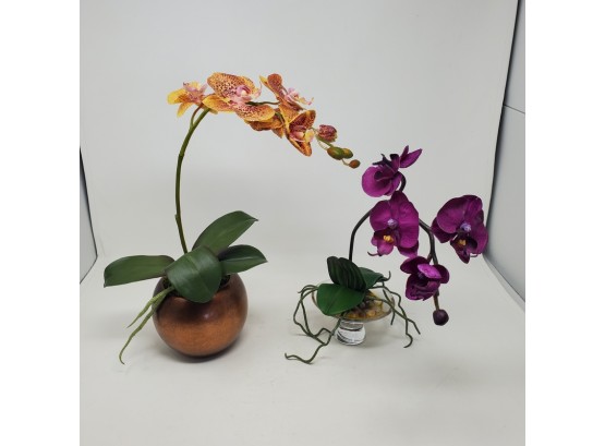 2 Silk Orchids