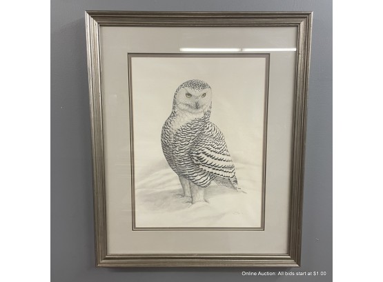Vintage Owl Framed Pencil Drawing Signed Steve Dillard 1981