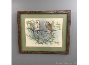 Owls On Branch Watercolor By Steve Dillard In 21.25' X 25.5' Wood Frame