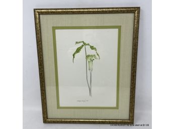 Vintage 1980 Bruce Corban Jack In The Pulpit Watercolor Painting In Frame