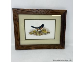 Mary Bland Watercolor Towee Bunting Painting In Wood Frame