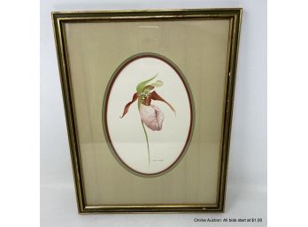 Vintage Bruce Corban Slipper Orchid Watercolor Painting In Wood Frame