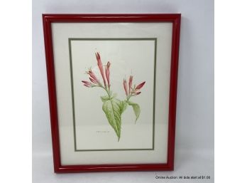 Vintage Bruce Corban 1981 Pinkroots Watercolor Painting In Red Frame