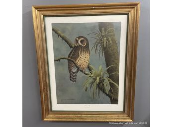 Mottled Owl Lithograph By Don R. Eckleberry In Wood Frame
