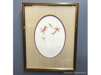 Bruce Corban : Campion : Watercolor On Paper Matted In Wood Frame
