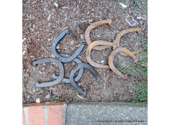 Lot Of Assorted Horseshoes