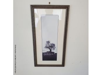 Framed B/W Photo Of A Lonely Tree