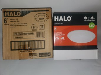 Halo 6' LED Surface Downlight X4