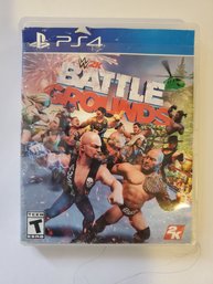 W2k Battle Grounds PS4 Game