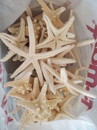Bag Of Star Fish