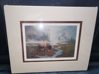 Yellowstone Buffalo Matted Print