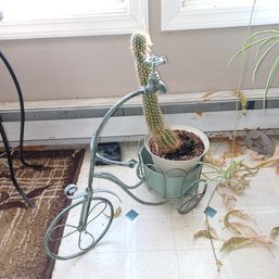 Cactus & Bike Plant Holder