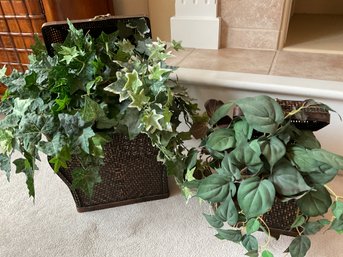 Set Of 2 Plants In Baskets