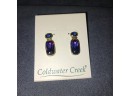 Coldwater Creek Sterling Silver Earring