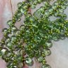 129 Vintage Lime Quartz Beaded Three Layered Necklace With Sterling Clasp