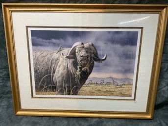 137 Curry African Safari Bull/Zebra Black Swan Gallery Framed Lithograph
