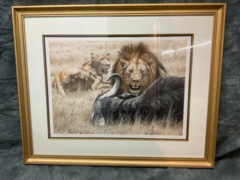 138 Curry African Safari Hunting Lions Black Swan Gallery Framed Lithograph