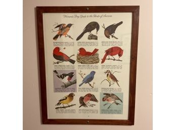 Lot Of 2 Womans Day Guide To The Birds Of America Prints #15, #3