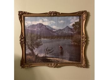 Vintage Print Fly Fishing/ Men's Restroom
