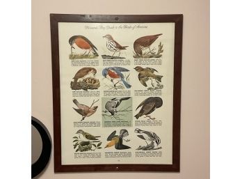 Lot Of 2 Womans Day Guide To The Birds Of America Prints #13, #14