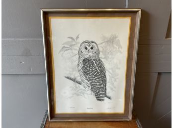 1975 'Barred Owl' Signed Radouick Framed Print