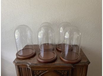 Set Of 5 Glass Domes Cloche With Wood Base For Display.